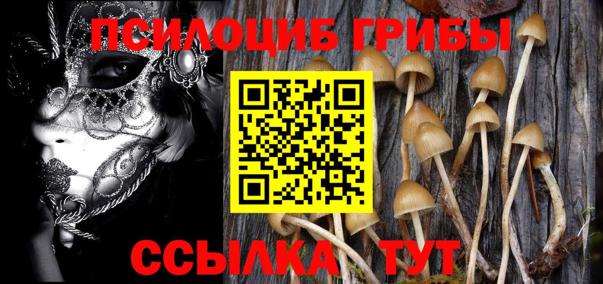 Псилоцибиновые грибы MAGIC MUSHROOMS Зеленокумск